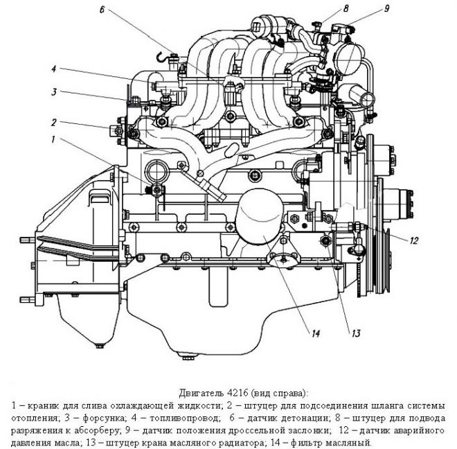 UMZ-4216 engine - diagram