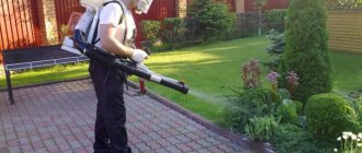 Spraying the garden