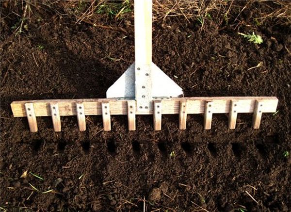 DIY device for planting garlic manually